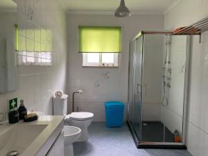 a bathroom with a shower and a toilet and a sink at A casa da Xã in Almagreira +22 photos