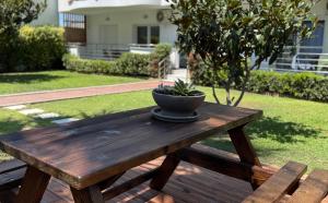 A garden outside Lamda Deluxe Apartments
