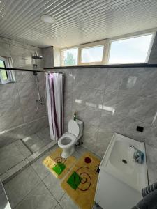 a bathroom with a toilet and a shower and a sink at Guesthouse Chon - Kemin in Shabdan