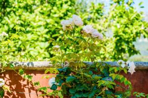 Gallery image of Sous L'olivier in Menton