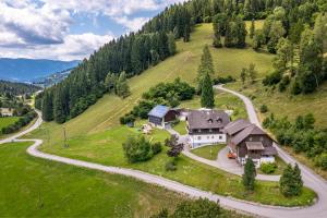 widok z lotu ptaka na dom na wzgórzu w obiekcie Ferienwohnung Vidmar w mieście Arriach