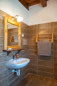a bathroom with a sink and a mirror at Pinka-Völgyi Napfény Farm 