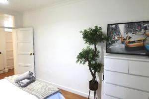a living room with a tv and a potted plant at Stylish 3-bed apartment in London within walking distance to tube stations in London