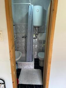 Un baño con ducha, inodoro y lavabo. en Holiday home LOLA, en Žabljak