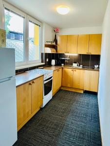 Kuchyň nebo kuchyňský kout v ubytování Apartmán Amy - Kvilda + 13 fotografií