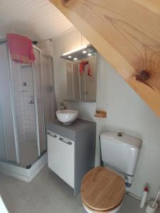 une salle de bain avec toilettes, lavabo et douche dans l'établissement Charmante Maison de Village, à Riotord
