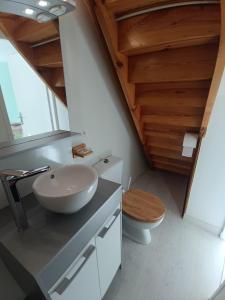 une salle de bain avec un lavabo et des toilettes dans l'établissement Charmante Maison de Village, à Riotord