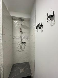 a bathroom with a shower with a glass door at L'Evasion Zen au cœur de l'Alsace in Sélestat