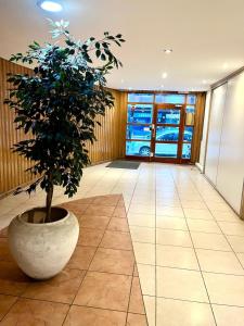a plant in a large pot in a hallway at Alsina Mdq in Mar del Plata