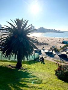 a palm tree on a beach with people walking at Alsina Mdq in Mar del Plata