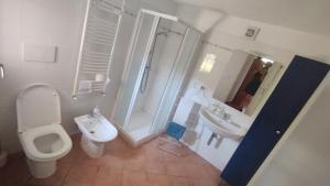 a bathroom with a toilet and a shower and a sink at La Torretta di Segno Vegan Bikers retreat in Segno +17 photos