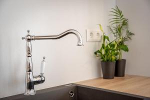 a kitchen sink with a chrome faucet at Anthea Suites in Engares +37 photos
