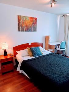 Gallery image of Alojamiento Santiago Centro Chile in Santiago