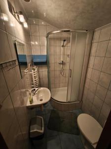 a small bathroom with a shower and a sink at Noclegi pod Witowem in Niedźwiedź +7 photos