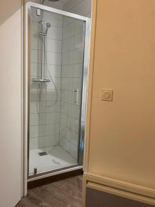 una ducha con puerta de cristal en un baño en Studio rénové à 5 minutes du centre-ville, en Aire-sur-lʼAdour