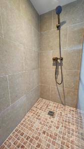 a shower with a shower head in a bathroom at La Tour'angelle in Saint-Étienne-de-Chigny