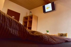 a room with a bed with a tv on the wall at Apartmán Miro in Dedinky