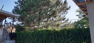 Billede fra billedgalleriet på Гостевой Дом Конаев Капчагай i Kapchagay + 14 billeder