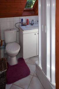Gallery image of Accommodation close to Budapest in Solymár