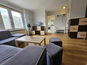Η κουζίνα ή μικρή κουζίνα στο Handy Apartamenty - Mieszkania na Doby w Centrum Rzeszowa