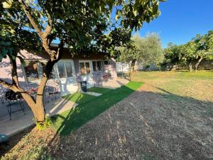 una casa con un árbol delante de un patio en Maric, en Tuzi