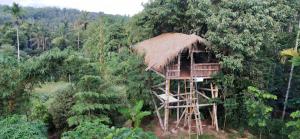 スルタン・バザリーにあるLe Eden Premium Wayanad Pool Resortのギャラリーの写真 +112枚の写真