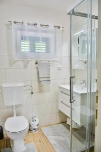 een badkamer met toilet en glazen douche bij House MaLa in Senj