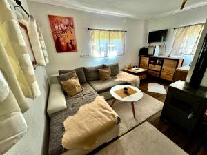 Μια τηλεόραση ή/και κέντρο ψυχαγωγίας στο Holiday home Okan
