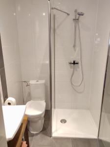 ein Badezimmer mit Dusche, Toilette und Waschbecken in der Unterkunft Elegant deux pièces au centre de Sélestat in Sélestat + 10 Fotos