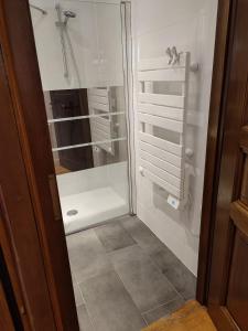 eine Dusche mit Glastür im Badezimmer in der Unterkunft Elegant deux pièces au centre de Sélestat in Sélestat