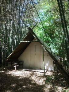 Montbrunにあるtente de trappeur au camping les cournoulises 2 à 4 personnesの森の中の白いテント