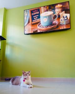 TV a/nebo společenská místnost v ubytování Hotel Marovi