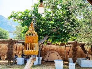 科帕罗Camping Ullishtja的相册照片