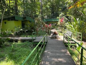 a walkway leading to a building in a garden at Miss Miriam BeachFront Cabins in Tortuguero