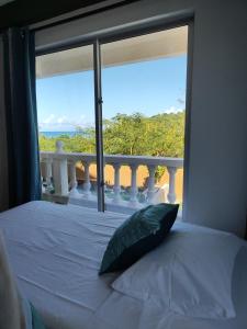 普罗维登西亚EcoApartamentos Sunset Life的一间卧室，里面有一张床和一扇大窗户。 更多78张照片