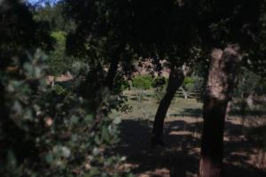 Aed väljaspool majutusasutust Quinta da Paz Eco-Lodge