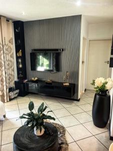 sala de estar con chimenea y 2 jarrones en Tempo #03, en Vosburg