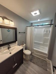 a bathroom with a sink and a toilet and a shower at Green Meadow Cabin in Murfreesboro