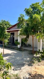 Κήπος έξω από το Chalé da Costa Branca