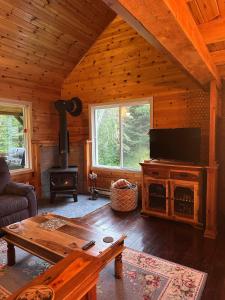 una sala de estar con chimenea y TV en una cabaña en Le repère de la Rivière, en Saint-Alexis-des-Monts