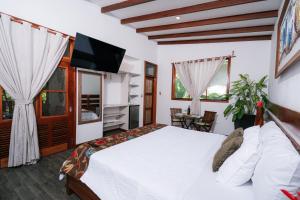 a bedroom with a bed and a tv and windows at Villa Lu Amazon Ecolodge in Tarapoto