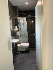 a bathroom with a toilet and a sink at Ferienwohnung Manolya in Günzburg +52 photos