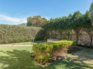 a garden with a bush in a yard at Pawprints in Corlette