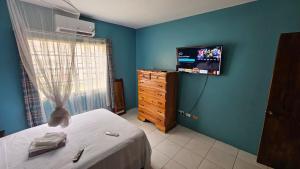 モンテゴ・ベイにあるJamaica Bnb Rentals ltdのベッドと壁にテレビが掛かった寝室