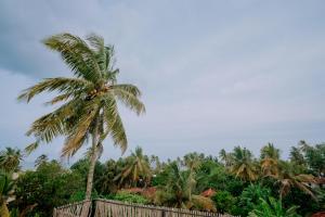 a palm tree on top of a wooden fence at The ransi House in Dickwella