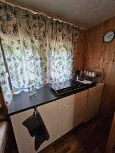 Kuchyň nebo kuchyňský kout v ubytování Apartmány u Mravence