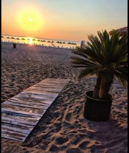 Φυσικό τοπίο κοντά σε αυτό το διαμέρισμα