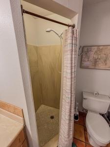 a bathroom with a shower and a toilet at Sun Dazed Tempe with Cali Soul Vibe in Tempe +23 photos