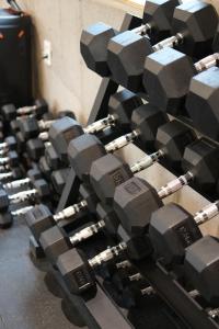 Fitness centrum a/nebo fitness zařízení v ubytování Vengastay