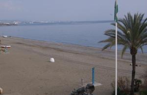 a man playing a game on a beach with a palm tree at Hotel Doña Luisa in San Luis de Sabinillas